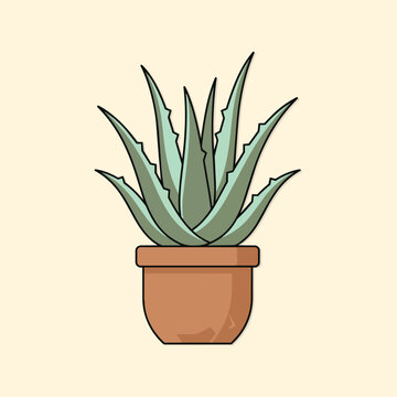 Illustration of Potted Aloe Vera