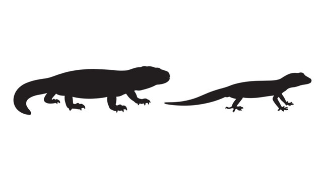 Two lizard silhouettes in black against a white background silhouette