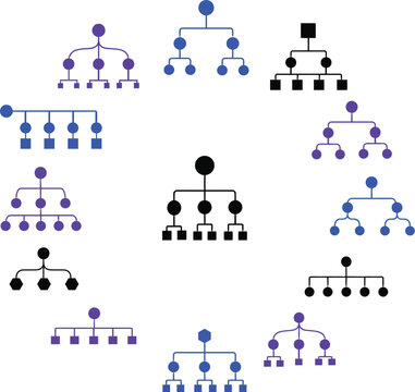 Collection of various hierarchical tree diagrams and organizational charts isolated on transparent background