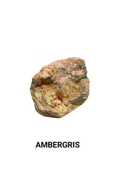 Illustration of a hardened sperm whale vomit called ambergris