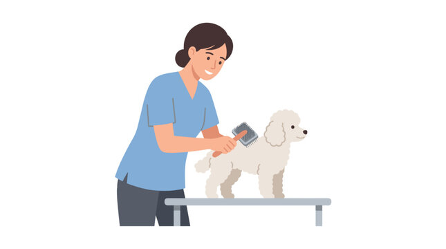 Mulher escovando um cachorro poodle branco em uma mesa de tosa