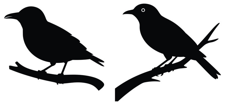 Bird Silhouettes On Branches Black And White Graphic