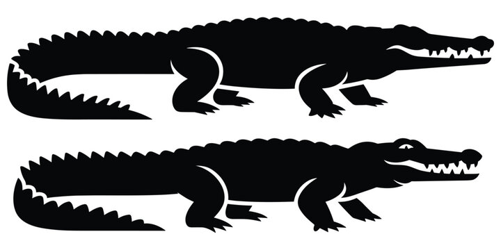 Crocodile Silhouettes On White Background Black And White Illustration