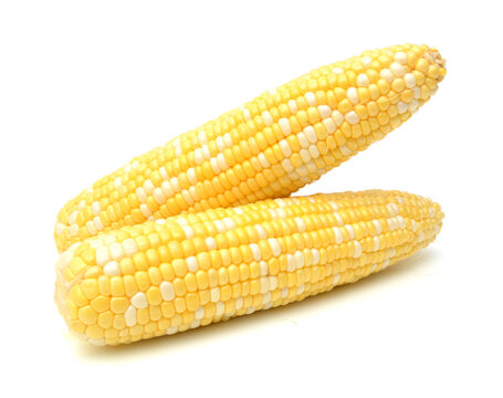 Corn on a white background 