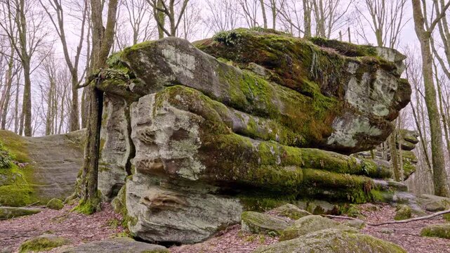 Scenic landscapes in Allegany State Park, New York