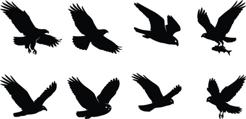 Naklejka premium Birds of Prey Silhouette Set Showing Flying and Hunting Raptors in Motion