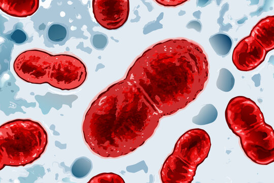 Red blood cells illustration with textured surfaces and a light blue background