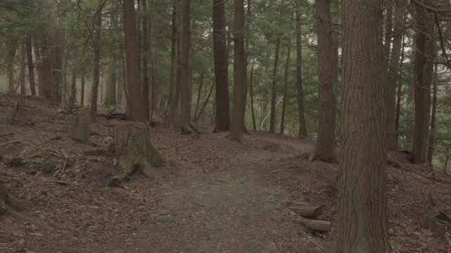 Scenic landscape at Chautauqua Gorge in Western New York