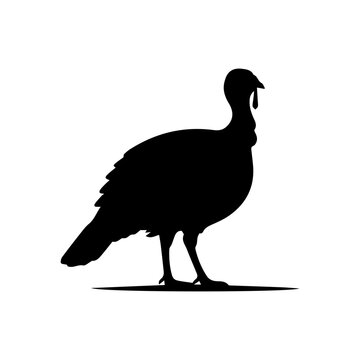 Turkey Bird Silhouette
