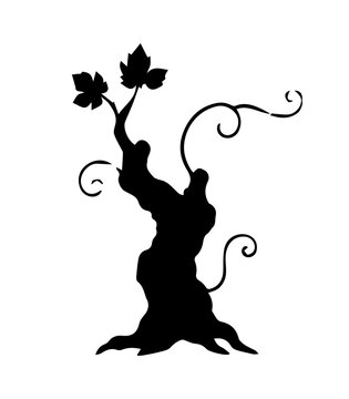 Grapevine Silhouette Collection