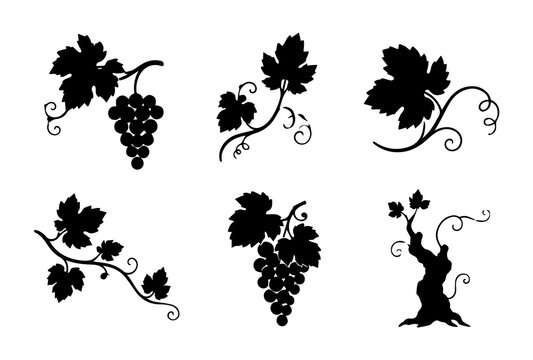 Grapevine Decorative Branch Silhouette