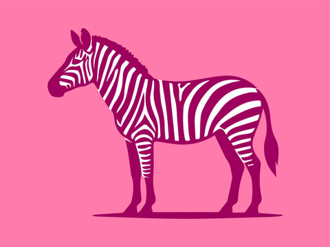 Zebra Illustration
