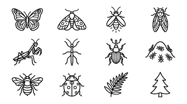 Hand-drawn Insect Icons: Butterfly, Moth, Bee, Cicada, Praying Mantis, Stick Insect, Beetle, Ants, Ladybug