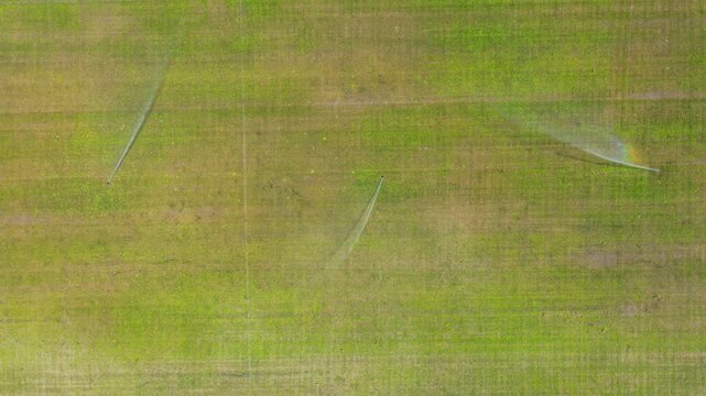 Automatic irrigation system watering a lush green lawn on a sports field from an aerial perspective, showing jets of water spraying across the turf to promote healthy plant growth and maintenance