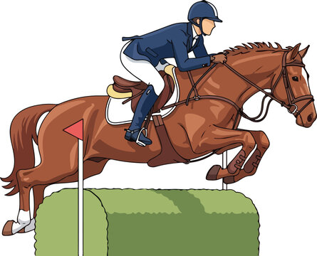 Professional equestrian jumping a hedge fence on a brown horse.