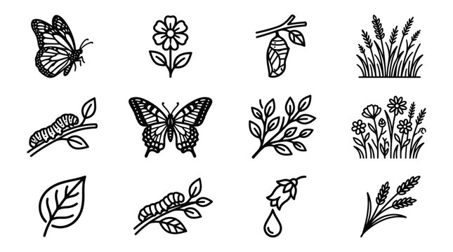 Butterfly life cycle icons: egg, caterpillar, chrysalis, butterfly, nature elements