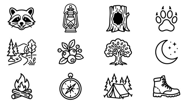 Outdoor Adventure Icons: Raccoon, Lantern, Tree, Paw Print, Campfire, Tent, Compass, Moon