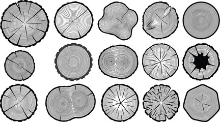 Set of black and white of various tree trunk cross section rings wood © Md Ziaul