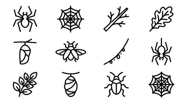 Insect and Spider Icons: Spider, Web, Chrysalis, Bee, Beetle, Leaf, Branch