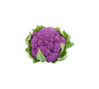 Fresh whole purple cauliflower with green leaves for healthy cooking and nutrition isolated on transparent background