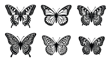 Collection Of Butterfly Silhouettes In Black And White Detailed Silhouette © Juwel