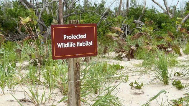 Brown "Protected Wildlife Habitat" sign at Sanibel Lighthouse Beach, Florida. The sign marks a protected coastal habitat dedicated to conserving native wildlife and sensitive nesting areas.