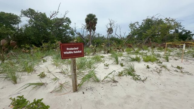 Brown "Protected Wildlife Habitat" sign at Sanibel Lighthouse Beach, Florida. The sign marks a protected coastal habitat dedicated to conserving native wildlife and sensitive nesting areas.