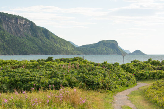 Coastal path and lush vegetation overlooking Baie du Ha! Ha! in Parc national du Bic, Quebec, Canada