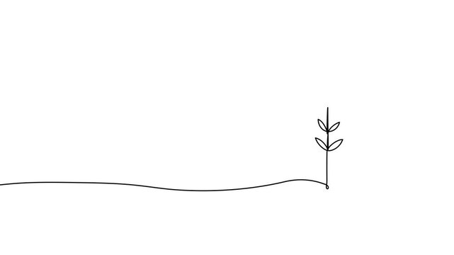 Continuous tree line drawing forest art outline silhouette single illustration. Continuous tree line vector pine icon doodle christmas abstract one palm nature grow plant oak sketch simple growth big