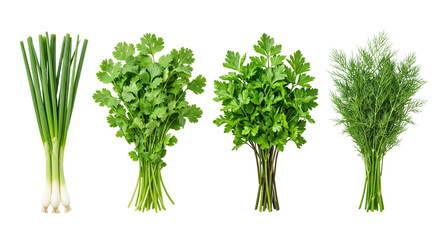 Fresh herbs and green vegetables isolated set © PNG Lab