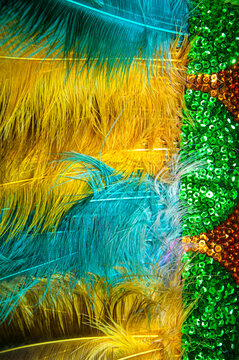 Detalhe de penas coloridas e lantejoulas do traje dos Caboclinhos, express&atilde;o tradicional do carnaval de Pernambuco, destacando cores vibrantes, brilho e riqueza artesanal.