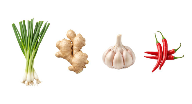 Collection of fresh culinary spices and vegetables isolated