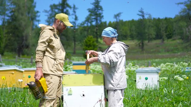 A cinematic medium shot of a senior female beekeeper putting a wooden honeycomb frame back inside a beehive box next to a coworker.