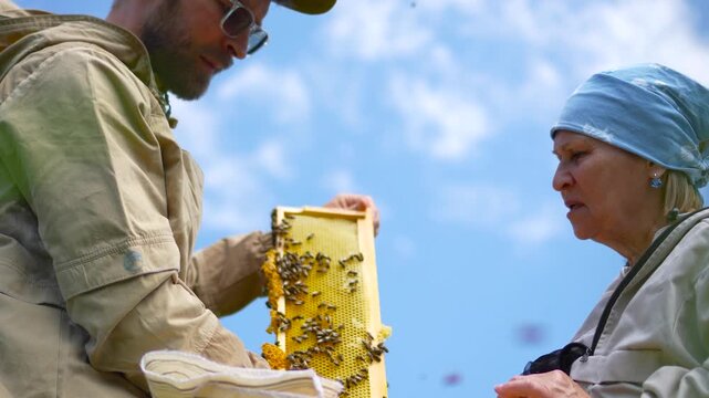 A cinematic low-angle shot of two focused beekeepers examining a fresh honeycomb frame over a wooden hive box under a clear blue sky.