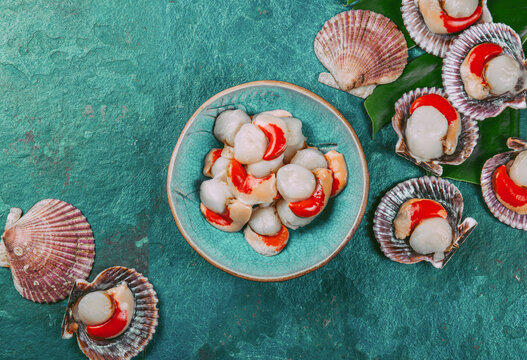 Raw fresh seafood shellfish scallops on blue background