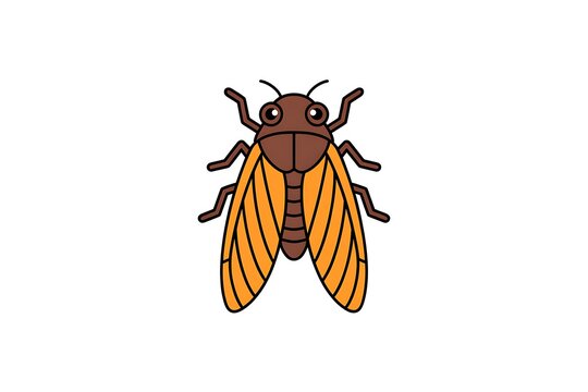 Cute cartoon cicada insect with orange wings and brown body isolated on white background