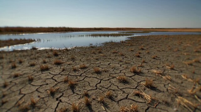 Time lapse of a green wetland drying into cracked mud