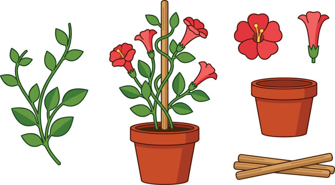 Potted Climbing Flower Vector Construction Set with Red Mandevilla Blooms, Green Vine Leaves, Terracotta Pots, and Wooden Supporting Stakes for Graphic Designers