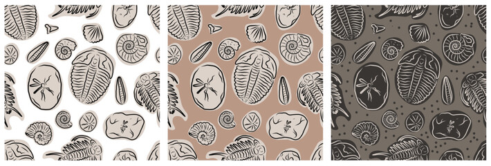 Hand drawn fossil seamless patterns with ammonites and trilobites in neutral tones. © Diana
