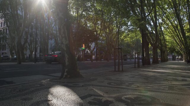 Summer Golden Hour View of Avenida da Liberdade in Lisbon Portugal Shot with Cinema Camera