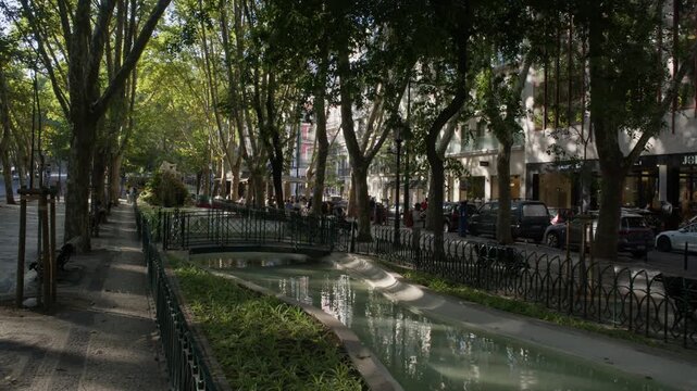 Tree Lined Avenue with Water Feature on Avenida da Liberdade in Lisbon Portugal During Summer Golden Hour Shot with Cinema Camera