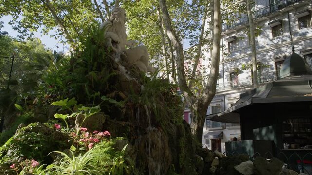 Close View of Ancient Tree Trunk and Garden in Lisbon Portugal During Summer Shot with Cinema Camera