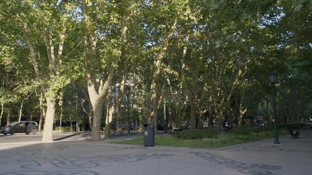 Tree Lined Park Along Avenida da Liberdade in Lisbon Portugal During Summer Shot with Cinema Camera