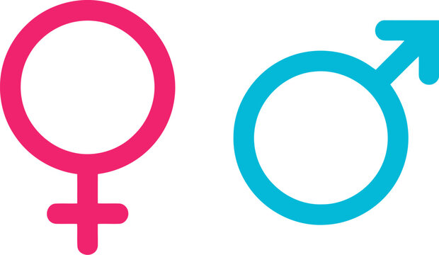 Colorful illustration of male and female gender symbols in vibrant pink and blue hues on white background for gender identity and equality concepts in modern society and culture