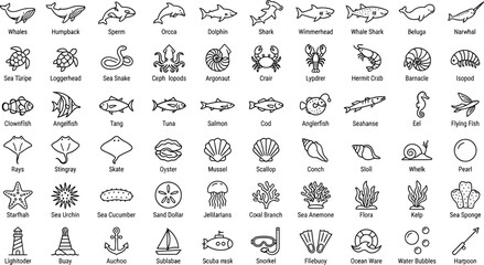 Marine life and sea animal icon collection for oceanographic designs © olid
