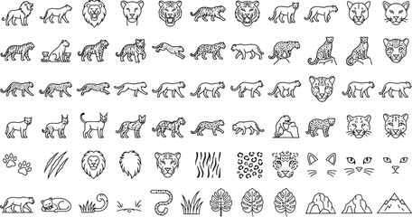 Large set of feline animals and cat icons with predator wildlife collection © olid