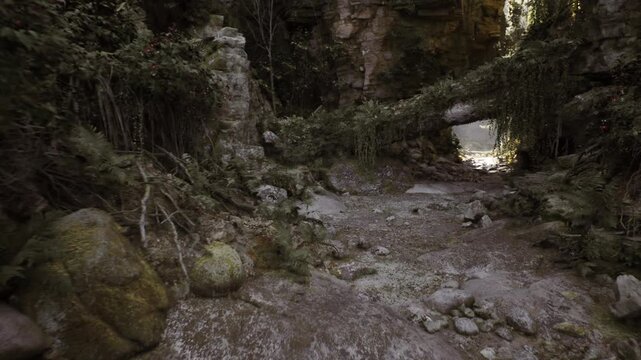 pebble strewn dry creek bed under scattered canopy light, stony textures, shallow rills and arid stream channel suggesting seasonal waterline and exploration