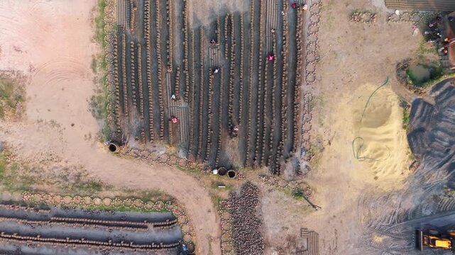 Long rows of clay bricks laid out to dry across a brick factory ground