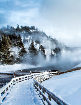 Thermal pools create mist that rises and floats through the trees in Yellowstone