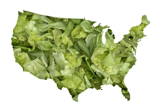 US Fresh Produce Cconcept of the United States made from fresh green salad symbolizing American agriculture healthy eating fresh produce sustainable farming and domestic food production.
